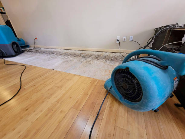 Professional Water Removal technician working in Plainfield, IN